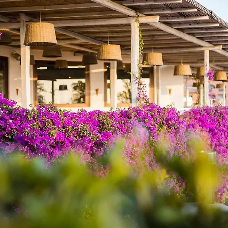 Resort Th - Borgo Di Fiuzzi & Praia a Mare