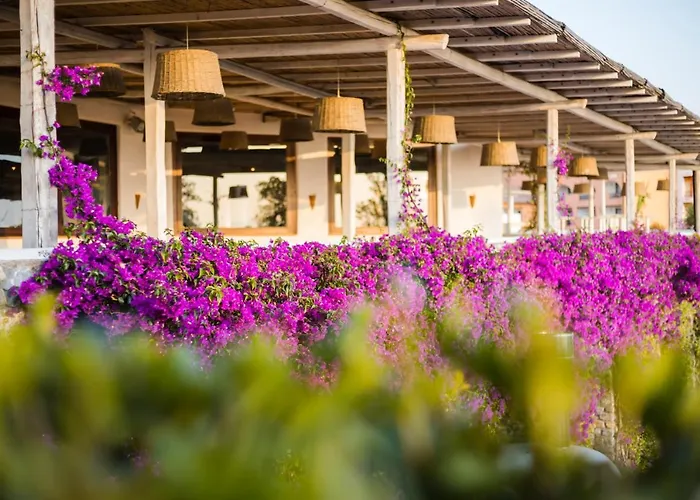 Resort Th - Borgo Di Fiuzzi & Praia a Mare